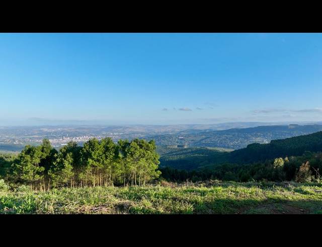 LAND FOR SALE IN MOUNT VERDE